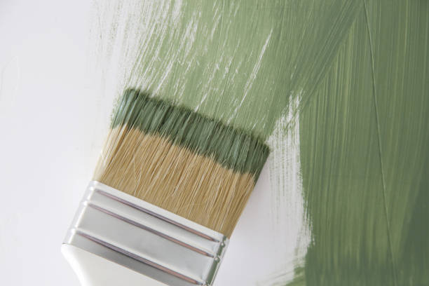 Best Emergency Mold Remediation  in Monongahela, PA