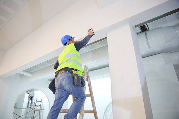 Professional Mold Removal in Monongahela, PA